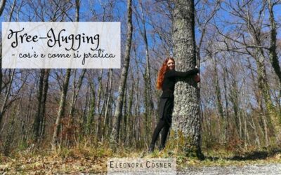 🌿 Tree-Hugging 🌿 – cos’è e come si pratica