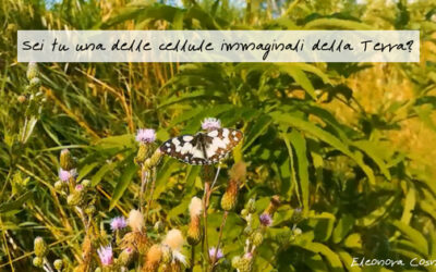 Sei tu una delle cellule immaginali della Terra?