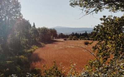 A passo di Umano – camminare per riscoprire i Ritmi Naturali