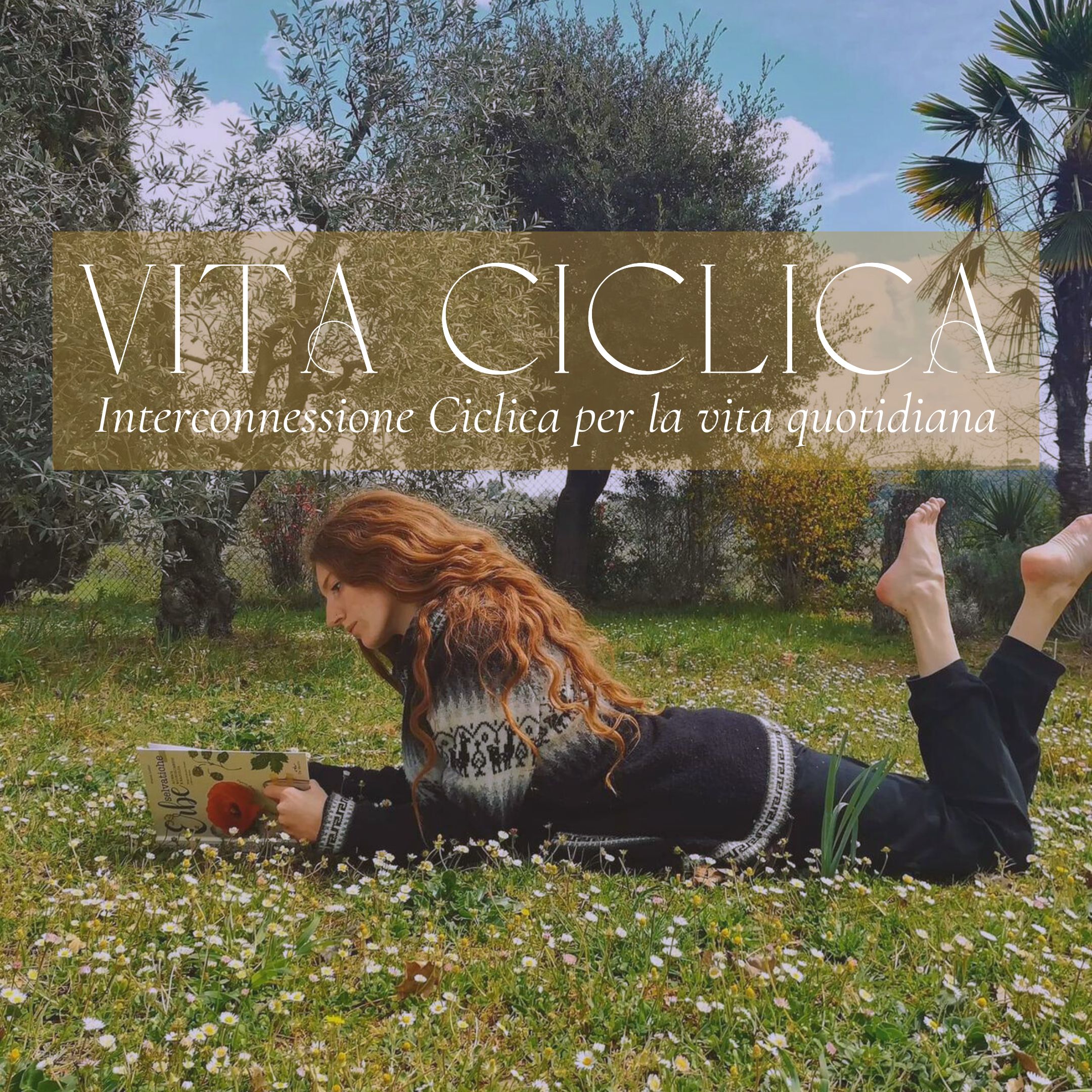 vita ciclica