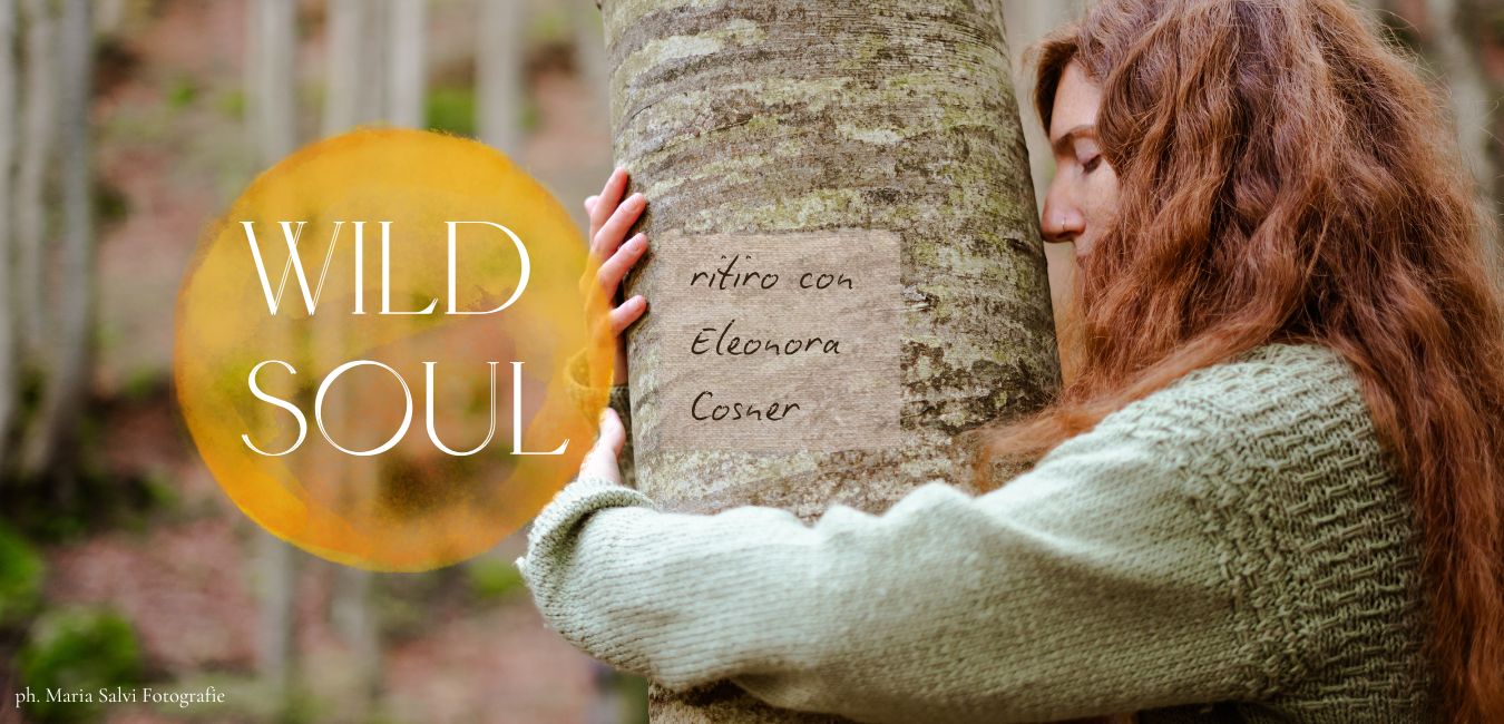 Banner WILD SOUL ritiro anima sistemica