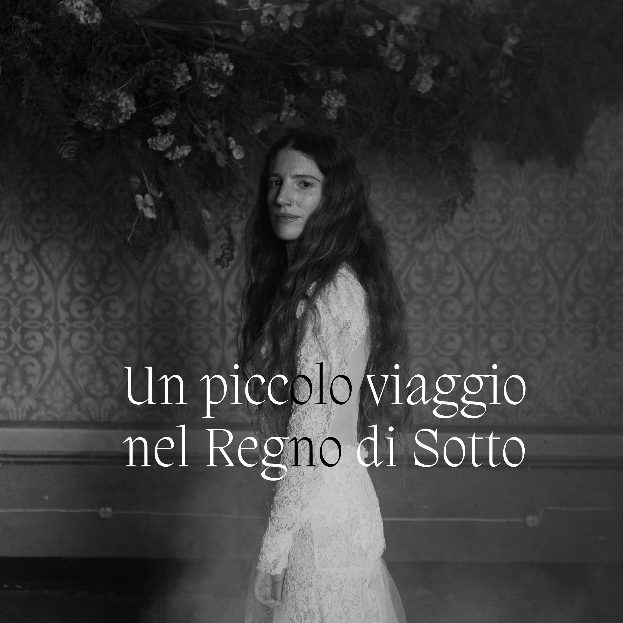 Banner Un piccolo viaggio nel Regno di Sotto mobile ri-connessione
